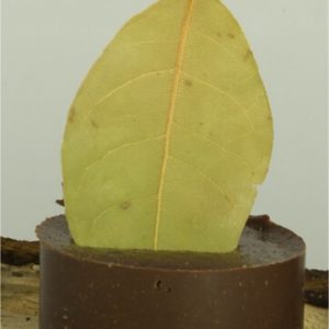 Kruidenbonbon voor Hachee of Goulash ( geef aan bij opmerkingen )